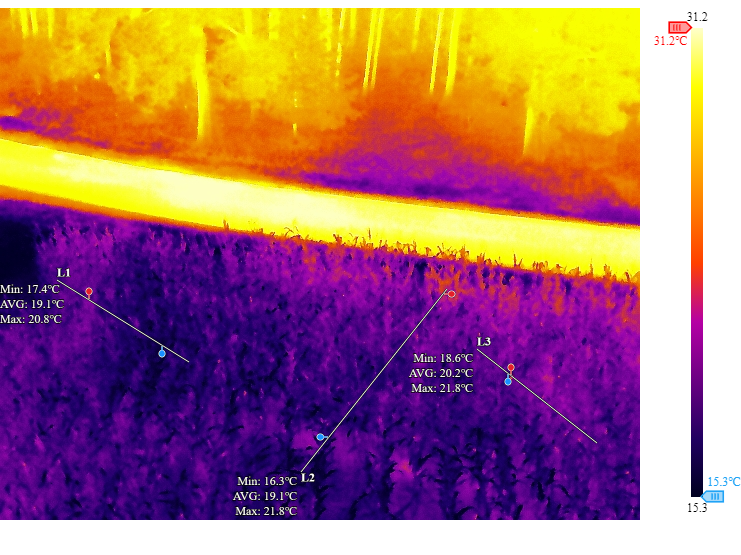 Obraz termowizyjny drona DJI Matrice 4T przedstawiający monitoring upraw rolnych, wykrywający różnice temperatur związane z kondycją roślin.